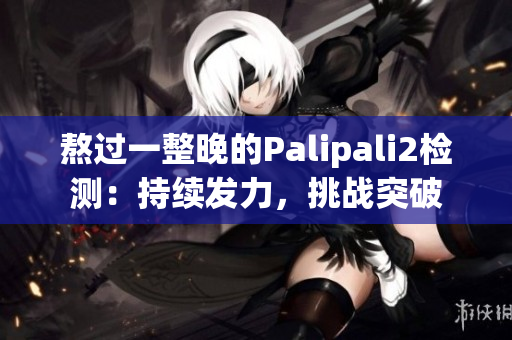 熬过一整晚的Palipali2检测:持续发力,挑战突破 熬过一整晚的Palipali2检测:持续发力,挑战突破