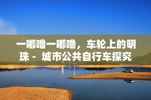一嘟噜一嘟噜，车轮上的明珠 -  城市公共自行车探究