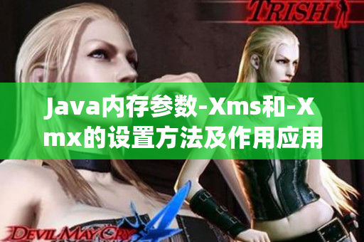 Java内存参数-Xms和-Xmx的设置方法及作用应用详解