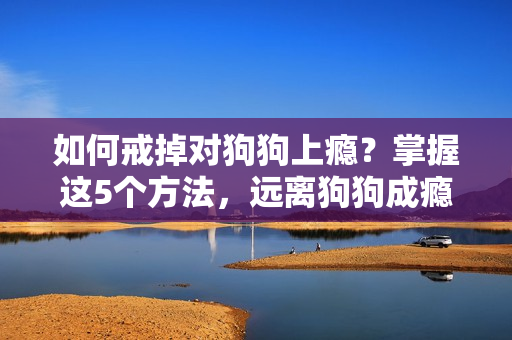 如何戒掉对狗狗上瘾？掌握这5个方法，远离狗狗成瘾问题！
