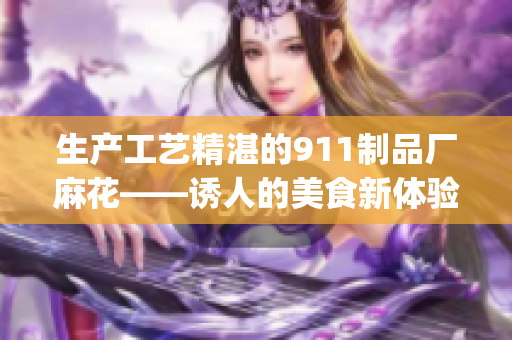 生产工艺精湛的911制品厂麻花——诱人的美食新体验(1)