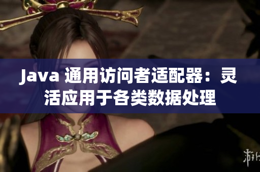 Java 通用访问者适配器：灵活应用于各类数据处理