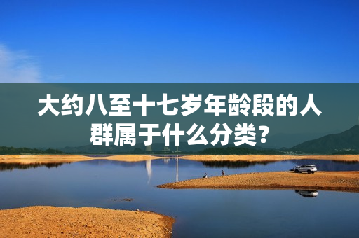 大约八至十七岁年龄段的人群属于什么分类？