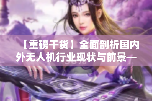 【重磅干货】全面剖析国内外无人机行业现状与前景——值得一读！
