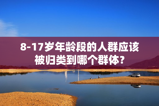 8-17岁年龄段的人群应该被归类到哪个群体？