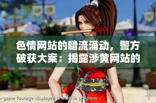 色情网站的暗流涌动，警方破获大案：揭露涉黄网站的黑幕