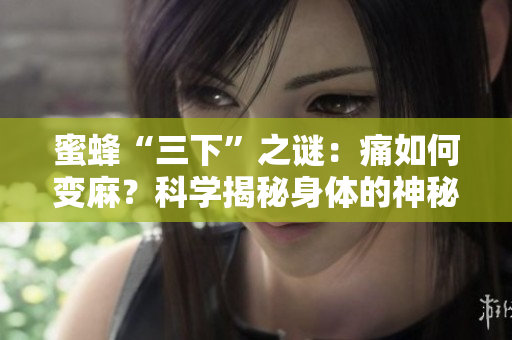 蜜蜂“三下”之谜：痛如何变麻？科学揭秘身体的神秘感觉