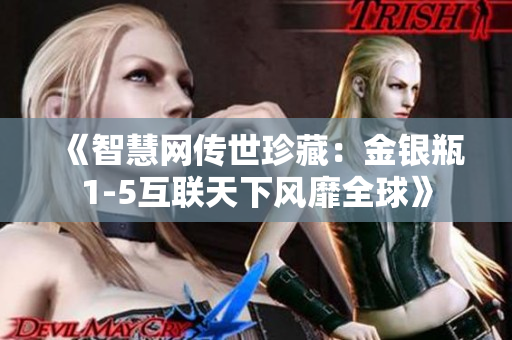 《智慧网传世珍藏：金银瓶1-5互联天下风靡全球》